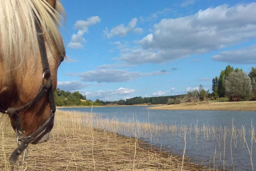 Gite En Pleine Nature Proche Du Lac De La Gimone Saint-Blancard Eksteriør bilde
